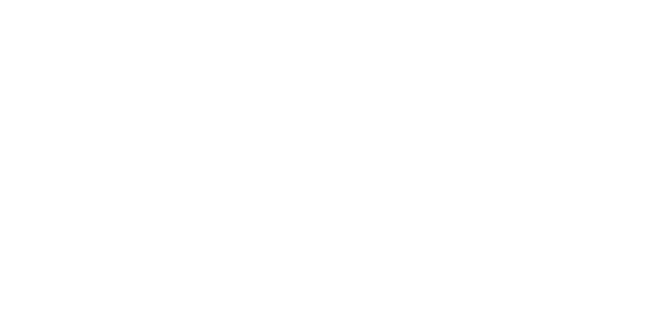 Logo GEO blanco